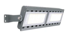BWP352 LED117NW 100W DM2 MP1